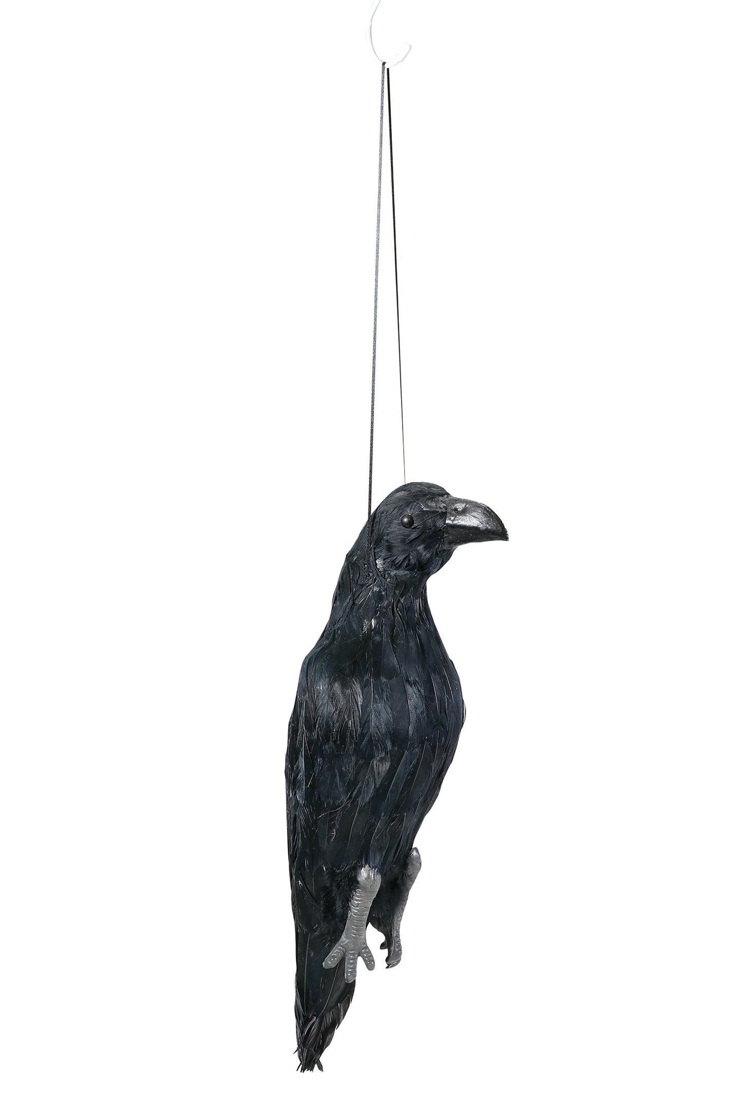 防鳥用吊り下げｶﾗｽ