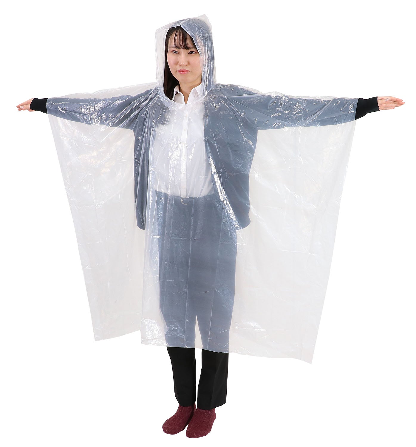 ﾚｲﾝﾎﾟﾝﾁｮ