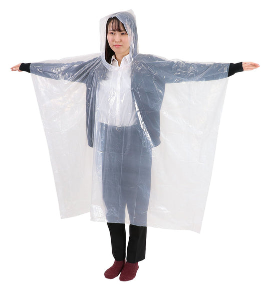 ﾚｲﾝﾎﾟﾝﾁｮ